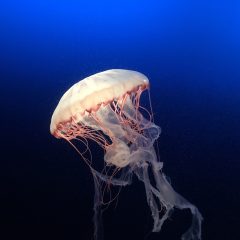 will-drzycimski-ccJwEyfSZfY-unsplash.jpg